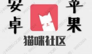 抖音猫猫为什么会笑 猫咪app成人抖音